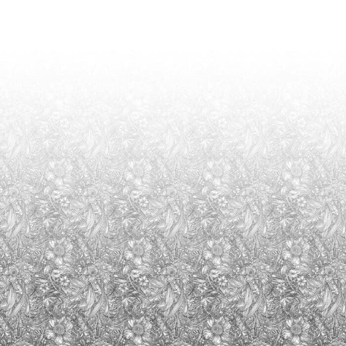 Tangle Ombre Graphite